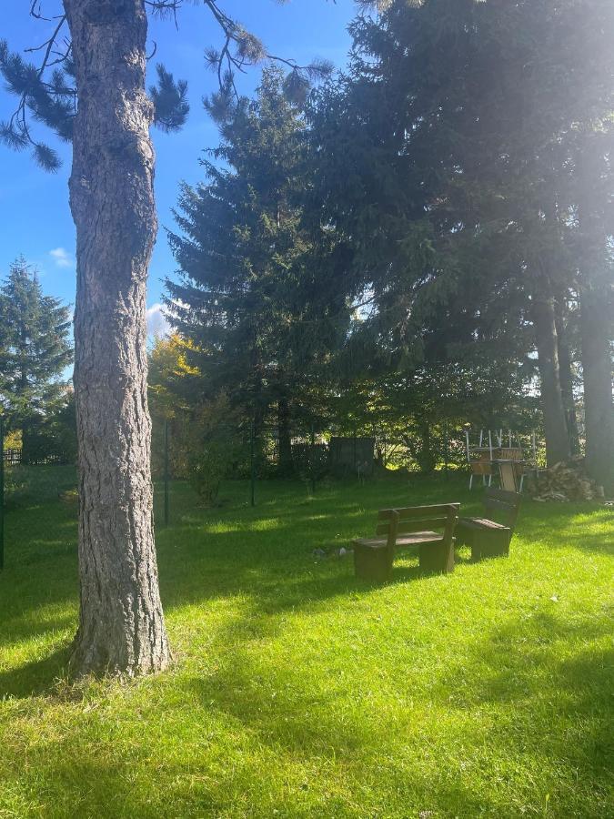 Apartman Studnice Na Vysocine Nove Mesto na Morave Exterior photo